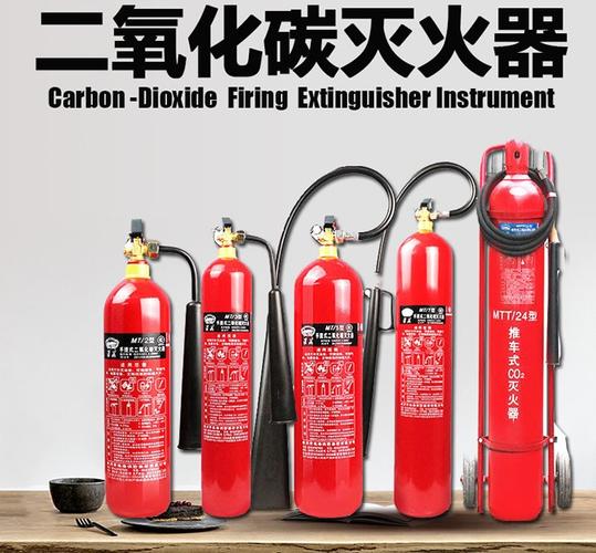 朝阳灭火器工厂专营店-灭火器材